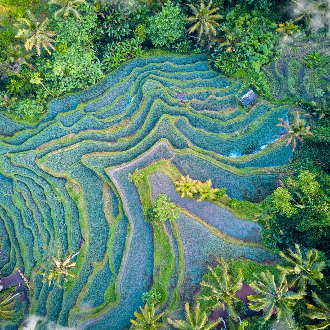 water color